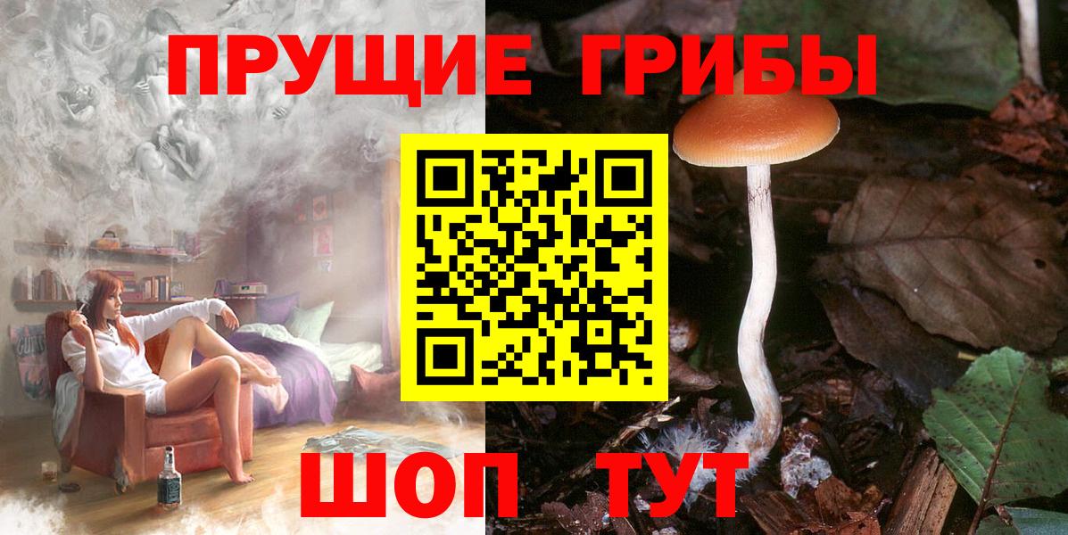 Галлюциногенные грибы ЛСД Великий Устюг