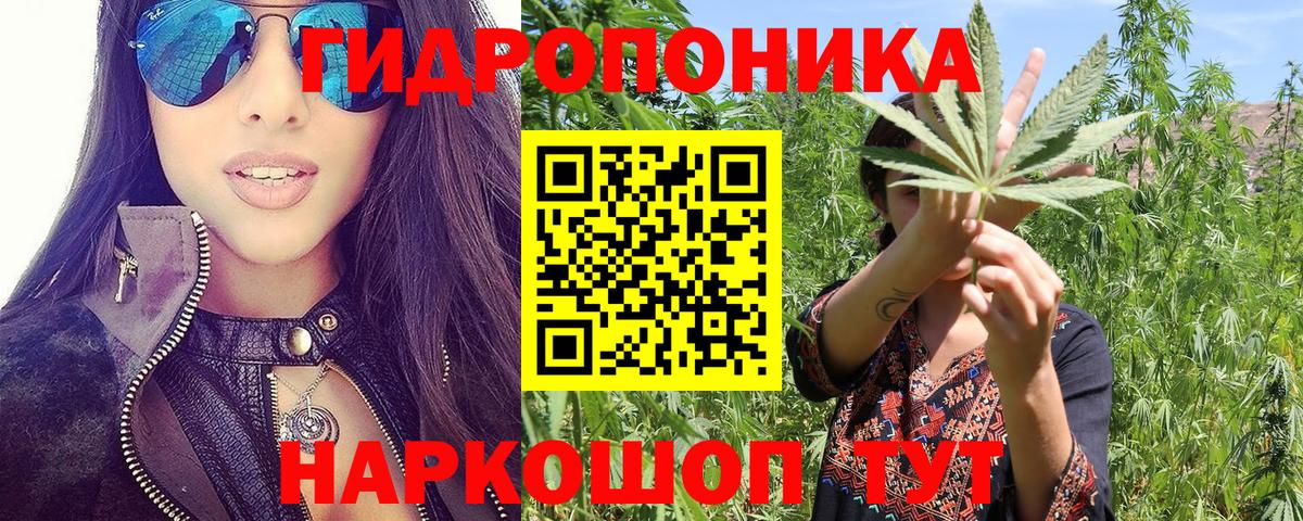 МАРИХУАНА конопля Великий Устюг